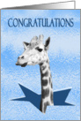 Congratulations on breaking glass ceiling, giraffe. card