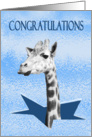 Congratulations on breaking glass ceiling,promotion making partner. card