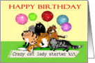 Happy Birthday, crazy cat lady starter kit, cats and balloons, humor. card