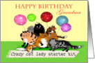 Happy Birthday Grandma,from grandson, Crazy cat lady, cats, humor. card