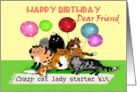 Happy Birthday Dear Friend,Crazy cat lady, humor. card
