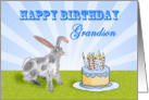 Happy Birthday ,For Grandson, rabbit and cake. For son. card