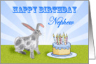 Happy Birthday ,For Nephew, rabbit and cake. For son. card