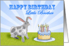 Happy Birthday ,For Little Brother, rabbit and cake. For son. card