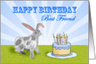 Happy Birthday ,For Best Friend, rabbit and cake. For son. card