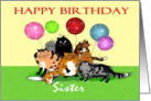 Happy Birthday Sister, Crazy cats and balloons. card