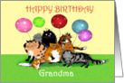 Happy Birthday , Grandma, from granddaughter,Crazy cats and balloons. card