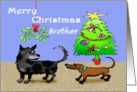 Merry Christmas ,Brother, dogs sniffing bottoms, risque.adult humor. card