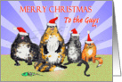 Merry Christmas to the Guys, cats with Christmas hats., humor. card