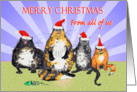 Merry Christmas from all of us, cats with Christmas hats., humor. card