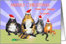 Merry Christmas from our family to yours,cats,Christmas hats,humor. card