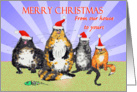 Merry Christmas from our house to yours,cats,Christmas hats,humor. card