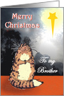 Merry Christmas, To Brother,sweet cat and Christmas star, Blank card