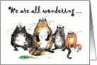 We are all wondering how you are, four crazy cats.humor, funny. card