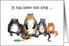 It has been too long since we got together, four crazy cats.humor,. card