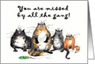 You are missed, four crazy cats.humor,. card