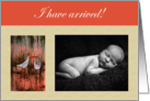 Birth announcement,for girl,custom card, stork and photo. card