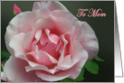 To Mom, I miss you,Pink Full Blown Rose and Bud with Green Leaf card