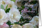 Happy Mother’s day, pink Crab apple blossom card