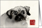 Pug dog portrait, ink painting, blank note card. card