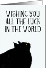 Wishing you luck, lucky black cat card