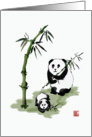 Panda bear with baby, eating bamboo. Blank note card. card