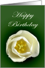 Happy Birthday white tulip on green background card