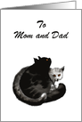 Happy Anniversary, two fluffy cats, custom card.for Mom and Dad card