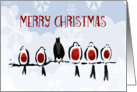 Merry Christmas, Robins on branch.snowflakes card