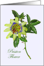 Passion flower, with green leaves. card