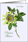 Miss you for Mom, Custom card,Passion flower, with green leaves card