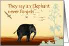 An elephant never forgets, belated elephant Birthday wishes card