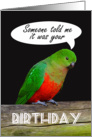 Happy Birthday, King Parrot, someone told me. humor card