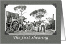 The first shearing,vintage, pioneer settlers in Australia card