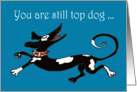 Happy Fathers Day, you are still Top Dog, humor card