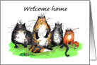 Welcome home, cats, humour card