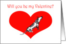 Will you be my Valentine ?humor.spotty hound dog. card