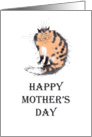 Happy mother’s day , from friend, tortoiseshell cat card