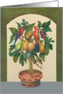 Happy Birthday,velvet painting of tree, parrots, fruit, and birds card