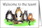 Cats, Business Welcome to the team.humor card
