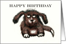 Happy Birthday , brown shaggy dog.humor card