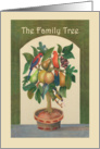 The family tree,welcome to the family, parrots, fruit, honeyeater. card