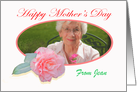 Pink striped camellia,Mother’s day, photo frame. card