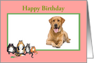 Happy Birthday, pink frame, custom frame, cats, for pet card