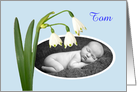 New baby, snowdrops,blue, photo frame card