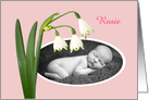 New baby, snowdrops,pink, photo frame card