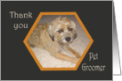 Thank you pet groomer, Border terrier. card