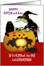 Happy Halloween , Witch with cat , spider and pumpkin,to everyone in our neighbourhood card