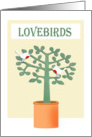 Lovebirds .two birds and tree. card