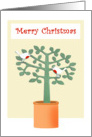 Merry Christmas, two birds in a tree. card